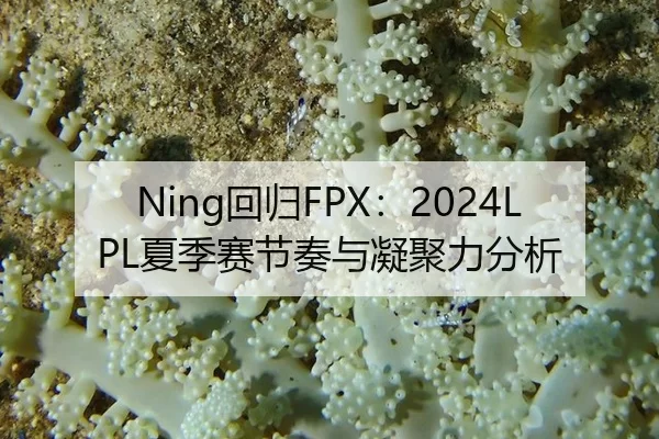 Ning回归FPX：2024LPL夏季赛节奏与凝聚力分析